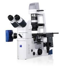 Inverted Fluorescence Microscope Image
